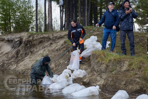 Выпуск мальков осетра в реку Чара, 2025 г. Фото службы новостей «СП»