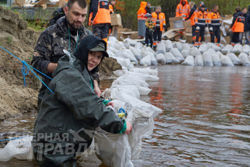 Выпуск мальков осетра в реку Чара, 2025 г. Фото службы новостей «СП»