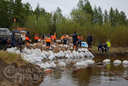 Выпуск мальков осетра в реку Чара, 2025 г. Фото службы новостей «СП»