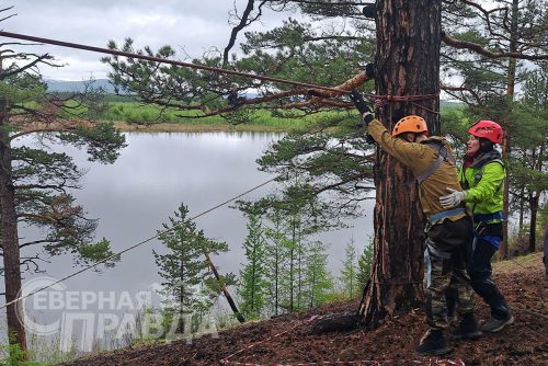 IX Районная «Туриада», 7 июня 2025 г. Фото Екатерины Поздеевой и службы новостей «СП»