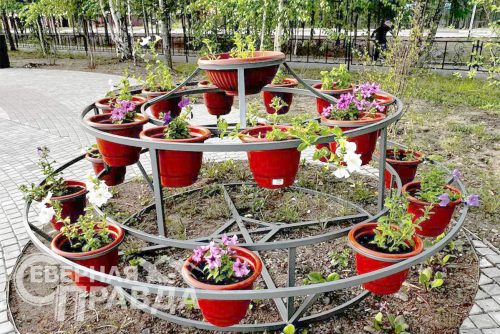 Фото из архива Дмитрия Сенотрусова