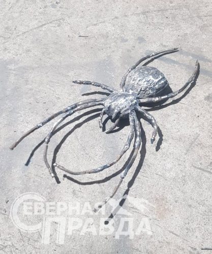 Фото из архива Дмитрия Сенотрусова