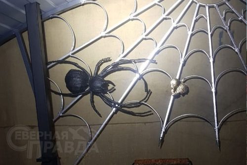 Фото из архива Дмитрия Сенотрусова