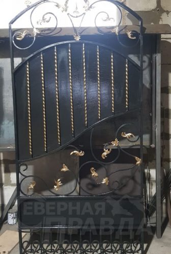 Фото из архива Дмитрия Сенотрусова