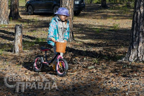 Экологическая акция по уборке мусора, 9 августа 2025 г. Фото службы новостей «СП»
