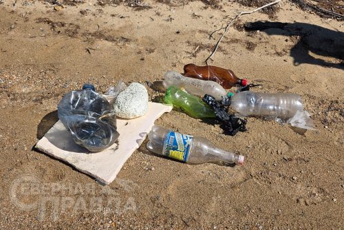 Фото Екатерины Поздеевой и участников акции