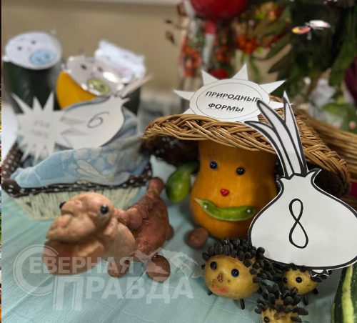 Выставка «Золотая сотка», 14-15 сентября 2025 г. Фото службы новостей «СП»