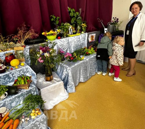 Выставка «Золотая сотка», 14-15 сентября 2025 г. Фото службы новостей «СП»