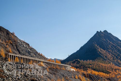 «Вдохновение Удокана», Чина, сентябрь, 2025 г. Фото службы новостей «СП».