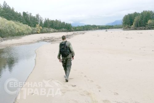 Работы по государственной инвентаризации лесов Читинского филиала Рослесинфорга, 2025 г.. Фото службы новостей «СП»