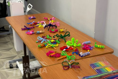 «Кубок равных возможностей». Новочарская школа № 2, 1 ноября 2025 г. Фото Антона Долгова