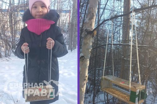 Синичкин день, 12 ноября 2025 г. Фото предоставлено НП «Кодар»