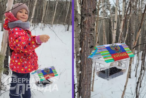 Синичкин день, 12 ноября 2025 г. Фото предоставлено НП «Кодар»