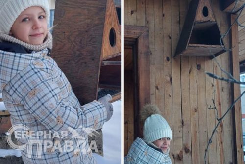 Синичкин день, 12 ноября 2025 г. Фото предоставлено НП «Кодар»