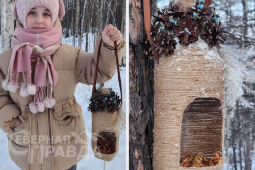 Синичкин день, 12 ноября 2025 г. Фото предоставлено НП «Кодар»