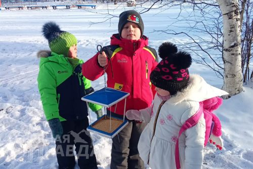 Синичкин день, 12 ноября 2025 г. Фото предоставлено НП «Кодар»