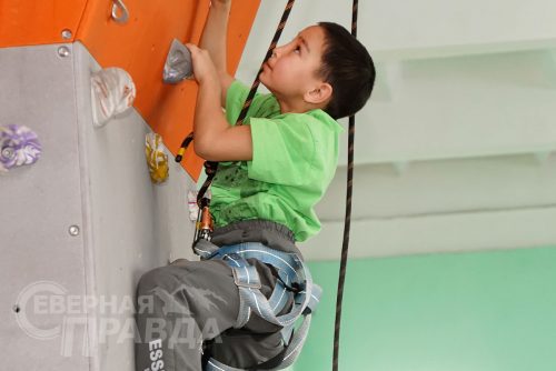 Соревнования «Точка отрыва». Новочарская СОШ № 2, ноябрь 2025 г. Фото Екатерины Поздеевой