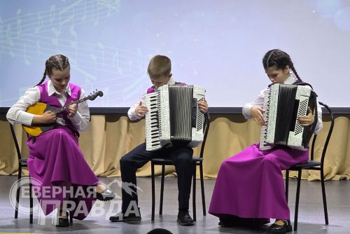 Благотворительный концерт. Новочарская ДШИ, 12 декабря 2025 г. Фото Екатерины Поздеевой