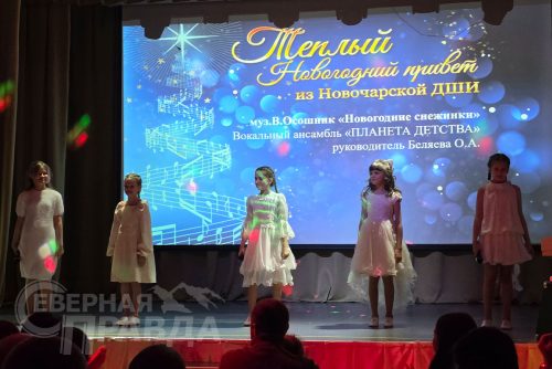 Благотворительный концерт. Новочарская ДШИ, 12 декабря 2025 г. Фото Екатерины Поздеевой