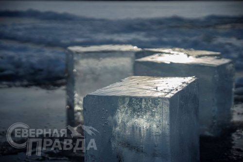 Заготовка льда для ледовых городков, Декабрь, 2025 г. Фото службы новостей «СП»