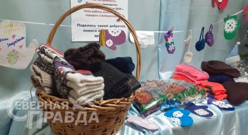 Фестиваль добрых сердец «Варежка дружбы». Ноябрь-декабрь 2025 г. Фото предоставлено Каларской центральной библиотекой