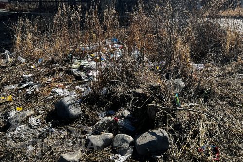 Фото службы новостей «СП»