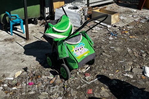 Фото службы новостей «СП»