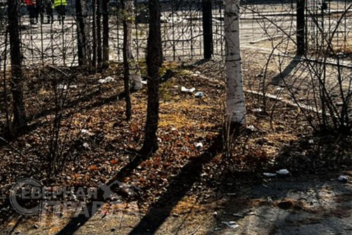 Фото службы новостей «СП»