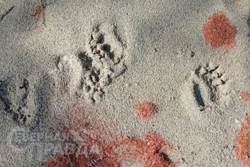 Поход на озеро Большое Леприндо, июнь 2026 г. Фото предоставлено национальным парком «Кодар»