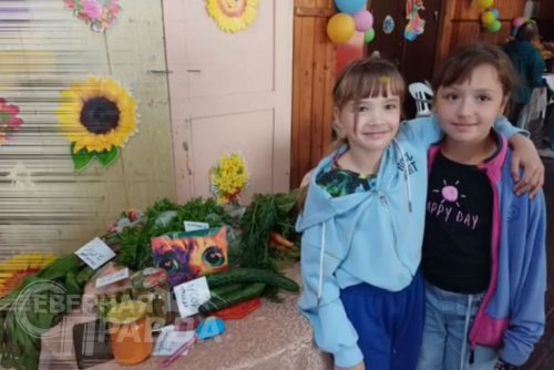 Выставка «Открытый прилавок». Чара, 5 сентября 2026 г. Фото предоставлены Домом культуры села Чара