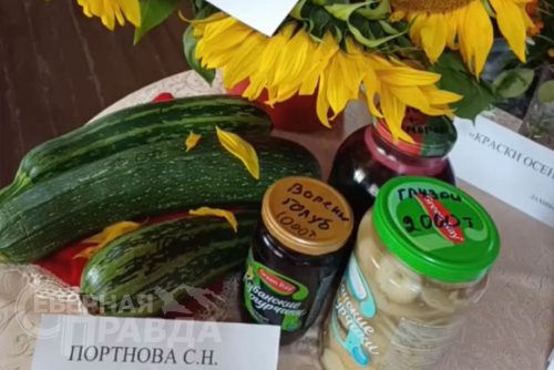Выставка «Открытый прилавок». Чара, 5 сентября 2026 г. Фото предоставлены Домом культуры села Чара