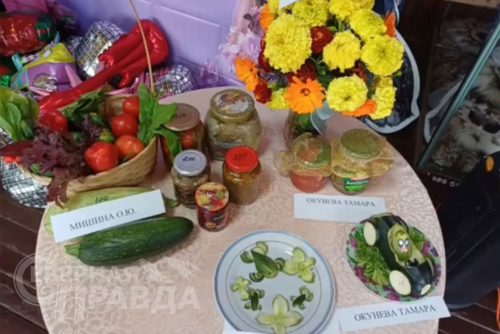 Выставка «Открытый прилавок». Чара, 5 сентября 2026 г. Фото предоставлены Домом культуры села Чара