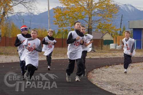 «Кросс нации – 2026». Новая Чара, 13 сентября 2026 года. Фото Екатерины Поздеевой