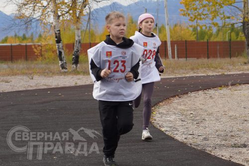 «Кросс нации – 2026». Новая Чара, 13 сентября 2026 года. Фото Екатерины Поздеевой