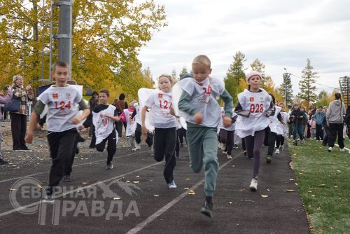 «Кросс нации – 2026». Новая Чара, 13 сентября 2026 года. Фото Екатерины Поздеевой
