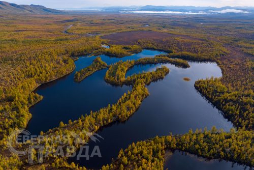 Пленэр на Удокане. 2026 г. Фото службы новостей «СП»