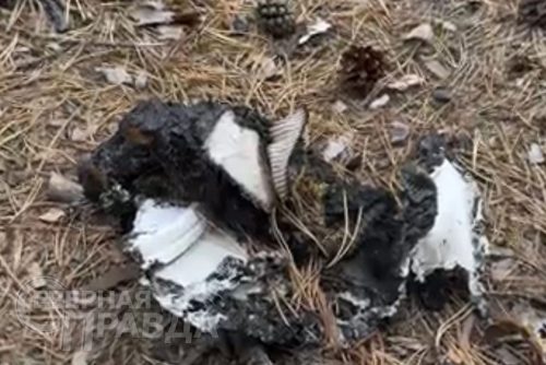 Национальный парк «Кодар». Фото Надежды Левашовой и службы новостей «СП»