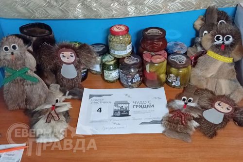 «Золотая сотка 2026», сентябрь 2026 г. Фото предоставлены администрацией Каларского округа