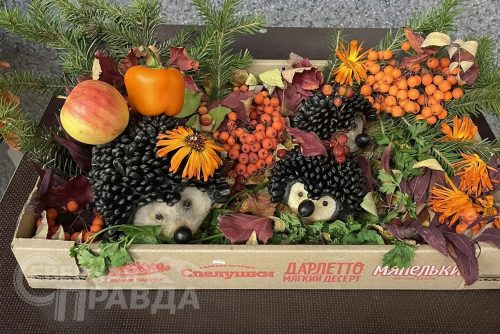 «Золотая сотка 2026», сентябрь 2026 г. Фото предоставлены администрацией Каларского округа