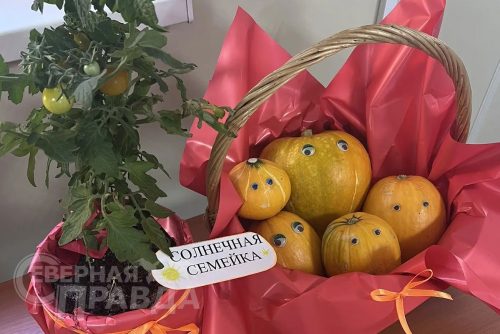 «Золотая сотка 2026», сентябрь 2026 г. Фото предоставлены администрацией Каларского округа