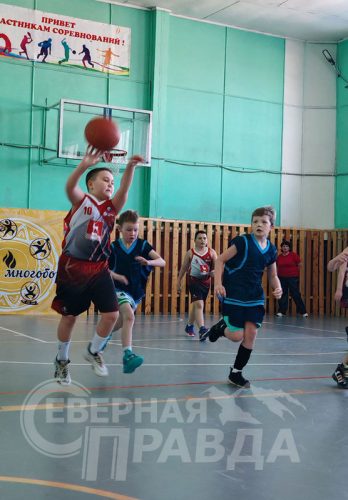 Турнир, посвящённый Году единства народов России, март 2026 г. Фото предоставлено ДЮСШ Каларского района