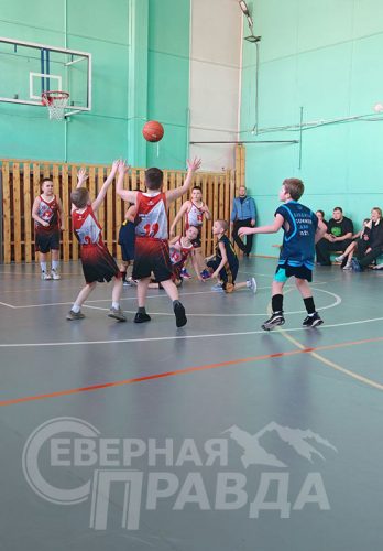 Турнир, посвящённый Году единства народов России, март 2026 г. Фото предоставлено ДЮСШ Каларского района