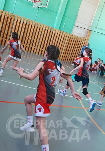 Турнир, посвящённый Году единства народов России, март 2026 г. Фото предоставлено ДЮСШ Каларского района